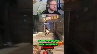 Rare Hanzo voiceline