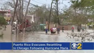 Agencies Help Puerto Rican Evacuees Resettle In Chicago