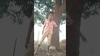 sata ke Paisa song Bhojpuri Dance