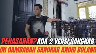 FIX! INI GAMBARAN SANGKAR ANDRI BOLANG PART 2