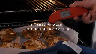 Thermapen ONE: Meet the Most Versatile Kitchen Thermometer