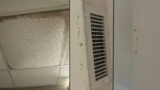 Mold concerns in Dilliard University dorms