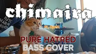 Chimaira - Pure Hatred (Bass Cover) ft. My cat