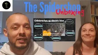 The Spidershop Unboxing