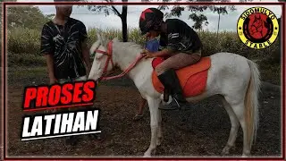 Latihan Di Tunggang  Kuda Mini Putih SIDOMULYO STABLE