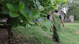 Ordinary Days in the Indian Countryside 🍂 | Traditional Cooking & Everyday Farm Life