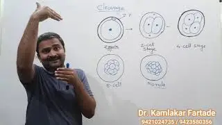Cleavage: Video-15 in human Reproduction by Dr. Kamlakar Fartade