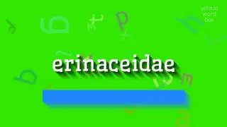 КАК СКАЗАТЬ ERINACEIDAE?  #erinaceidae (HOW TO SAY ERINACEIDAE? #erinaceidae)