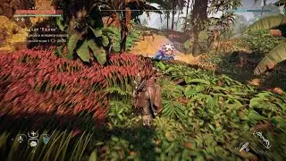Horizon Zero Dawn Remastered Sleight of Crate Trial