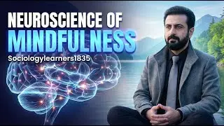Neuroscience of Mindfulness | Psychology 