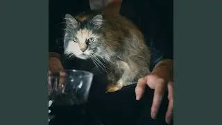 Evil Mastermind