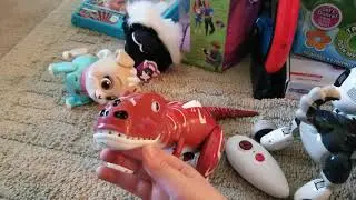Zoomer Robot dog problem
