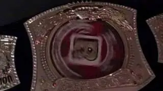 Rated R superstar championship belt!