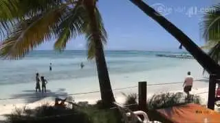 H&ocirc;tel Les Tipaniers Moorea - along a fine stretch of white-sand beach