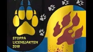 Rik Bakker . STOPPA LICENSJAKTEN Wolves 2018 Sweden . Native American Indian Flute.