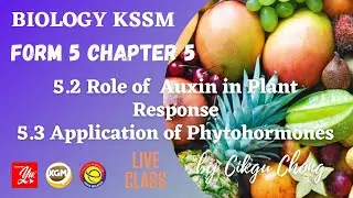 5.2 Role of Auxin in Plant Response and 5.3 Application of Phytohormones in Agriculture