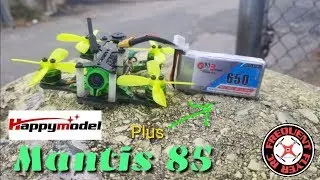 Mantis 85 with LDARC 2035 Quad-blades plus GnB 650mah 2S!