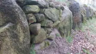 Kleinenkneter Steine