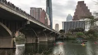 Austin Bat Observe and Ann W. Richards Congress Avenue Bridge