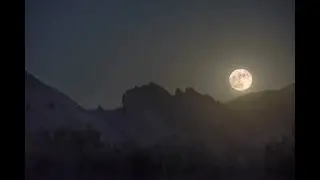 Dark Moon