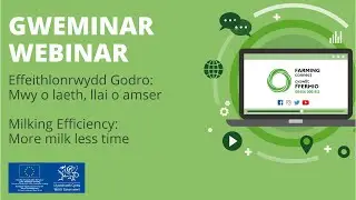 Effeithlonrwydd Godro: mwy o laeth, llai o amser / Milking Efficiency: more milk less time