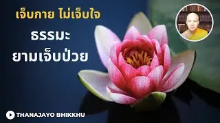 Физическая боль, но не душевная. Дхамма во время болезни | Thanajayo Bhikkhu | 2 декабря 2025 г.