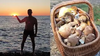 ГОРНЫЕ БОРОВИКИ КОРЗИНАМИ И МОРЕ УДОВОЛЬСТВИЯ ! КАВКАЗ СЕРИЯ 3 ! Грибы 2021 !