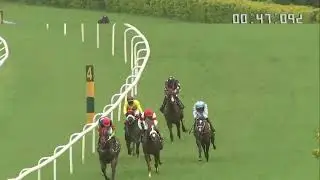 FIGHTON wins The Racingpulse.in Trophy