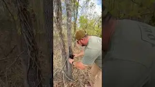 👀 Strange Creature Caught On Trail Cam