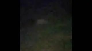 Late night garden walk thru og plat og cookies Tahoe og king Luis 13