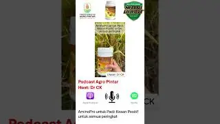 #AminoPro & Impak Positif pada #Padi di Semua Peringkat Pertumbuhan #booster #agropintar