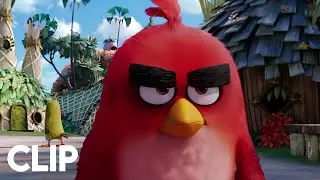 The Angry Birds - Angry Bird Going Anger Management Class (Hindi) | AIO-1