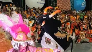 BUMBA-MEU-BOI LINDO GUERREIRO 2025 NO XXIII SÃO JOÃO DA PARNAÍBA NO QUADRILHODRAMO EM PARNAÍBA PI