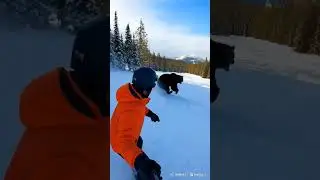 bhalu ka hamala bear attack