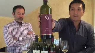 Croatian Wine: Talking Teran and Malvazija with Coronica