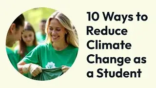 10 Ways to Reduce Climate Change as a Student