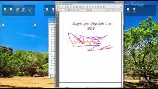 PDF Screen Record Directions