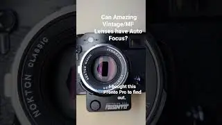 Fotodiox Pronto in Action: Evaluating Focus Speed and Precision