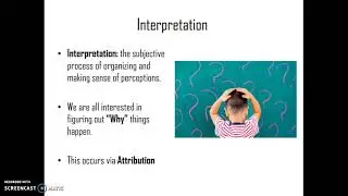 COMM 215: Chapter 3 (Perception & Communication)