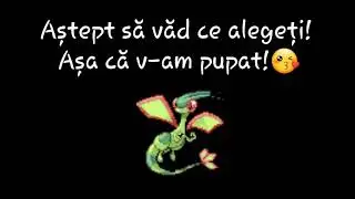Live (17.09.2017)