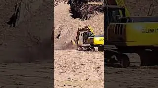 La puissance de l'excavation : l'abattage d'arbres en action
