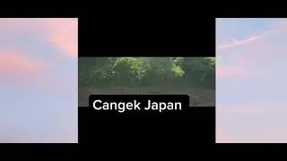 Taking the train in Japan is so much fun