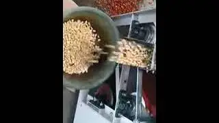 Automatic Wet Peanut Peeling Machine