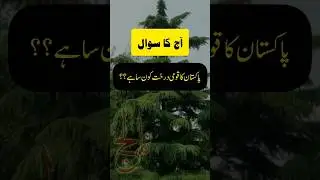 National Tree of Pakistan #shorts #short #gk #pakistan #education #nationaltree