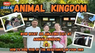 ORLANDO DISNEY World Vlog Day 4 AMAZING day at ANIMAL KINGDOM & HOLLYWOOD STUDIOS & BIG TRIP REVEAL