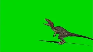 Green Screen Dinosaur Velociraptor