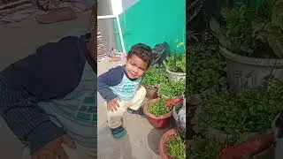 #pyara kanha#rabbit🐇🐰#carrot🥕#desi balak#daily life vlogs#viral video#cutebaby#like& subscribe 🙏