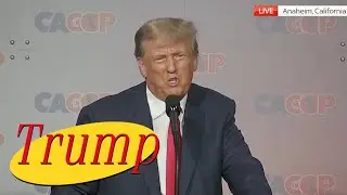 Trump does Seinfeld (Part 3: Environmentally Friendly Jet Fighters)