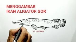 Mudah!! Cara Menggambar Ikan Aligator Gar