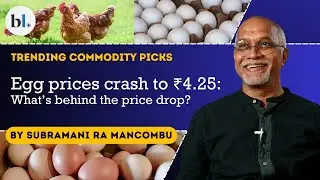 Egg prices crash to 4.25: What's behind the price drop? | Trending Commodity Picks | Ep 57